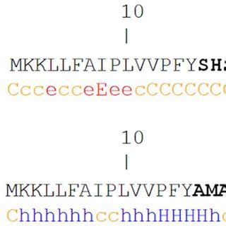 Prediction Of The Secondary Structure Of The Native And Mutant Signal