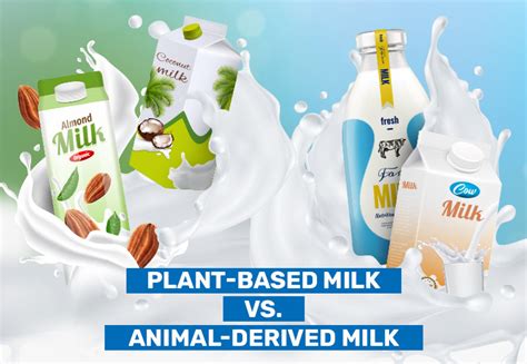 Plant Based Vs Animal Derived Milk Health Benefits Milky Day Blog