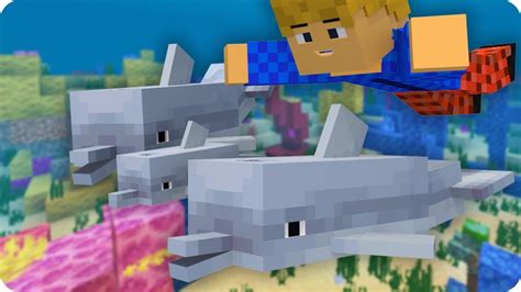 Delfin Guide Verhalten Eigenschaften zähmen Minecraft YouTube