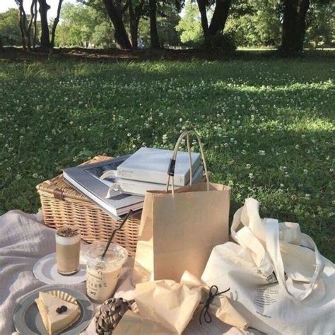 Dreamy Picnic Aesthetic Photoshoot Ideas