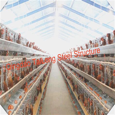 Prefabricated Steel Frame Structure Prefab Chicken House In Poultry