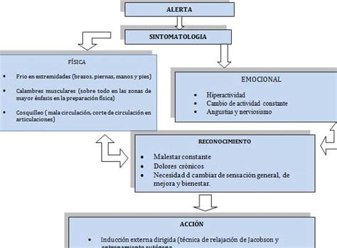 Preparaci N F Sica De Un Deportista Extremo Claves Y Consejos