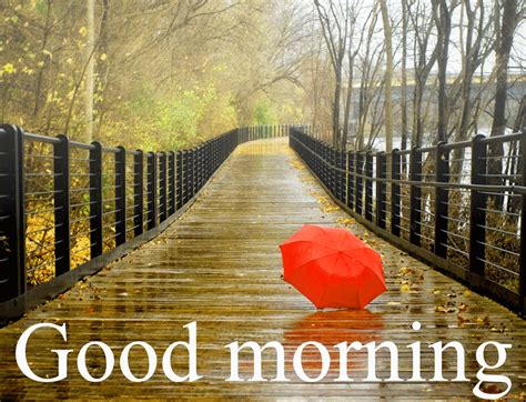 Good Morning Wishes In Rain