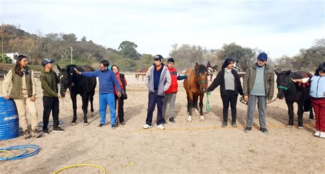 Equinoterapia Una Alternativa Para Desarrollar Las Habilidades