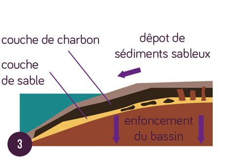 Les Combustibles Fossiles Et Leurs Cons Quences Cours Svt