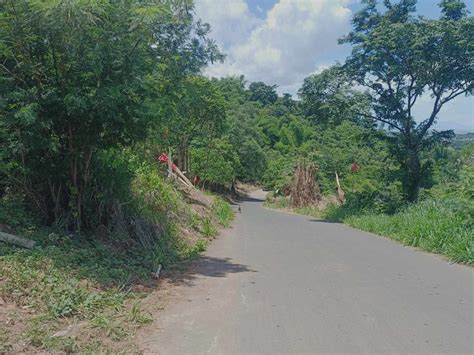 100 Sqm Residential Farm For Sale In Morong Rizal Lots January