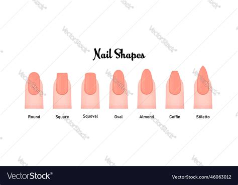 Various nail shapes set Royalty Free Vector Image