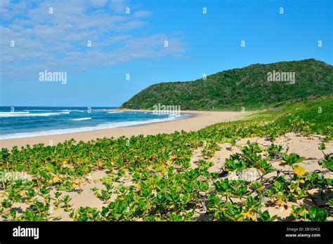 Isimangaliso Wetlands Park This Park 3 300km² Wide Is Protecting