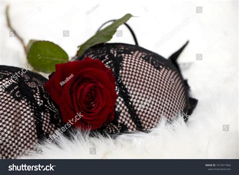 Sexy Black White Lingerie Red Rose Stock Photo Shutterstock