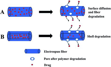 Illustration Of The Release Of Drugs From Electrospun Fibers A Drugs