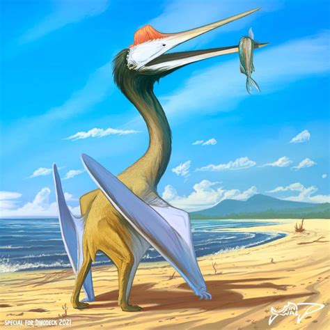 Commission Quetzalcoatlus By Finwalsmd On Deviantart Prehistoric