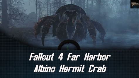 Fallout 4 Far Harbor Albino Hermit Crab YouTube