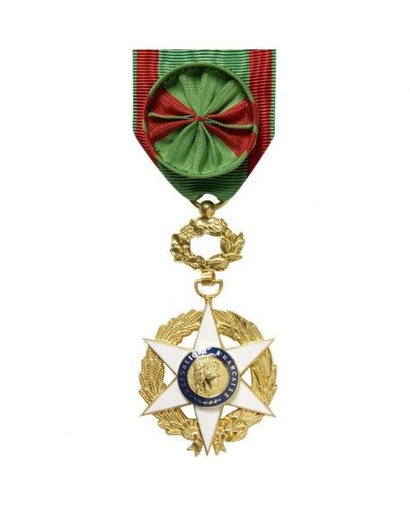 M Daille Officier De L Ordre Du M Rite Agricole Bronze Dor