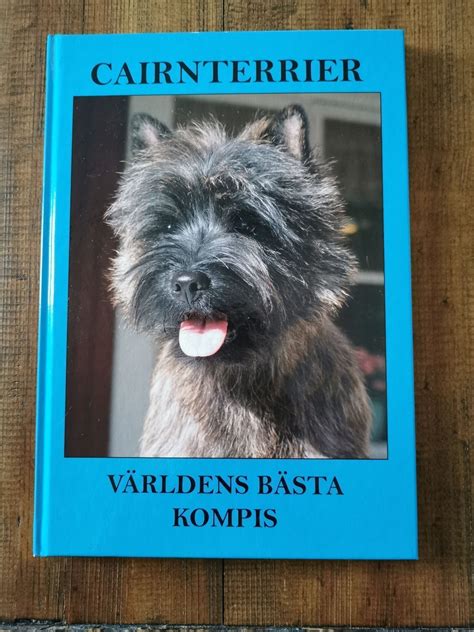 Se Produkter Som Liknar Cairnterrier V Rldens B Sta P Tradera