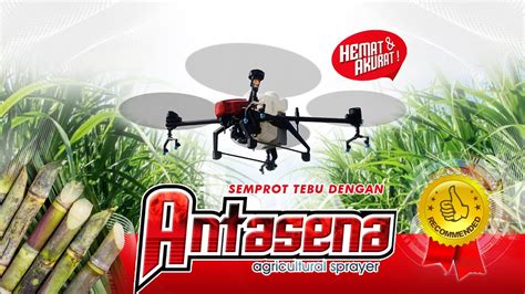 Drone Sprayer Tebu Dronesprayer Alsintan Jember Maxxibimo