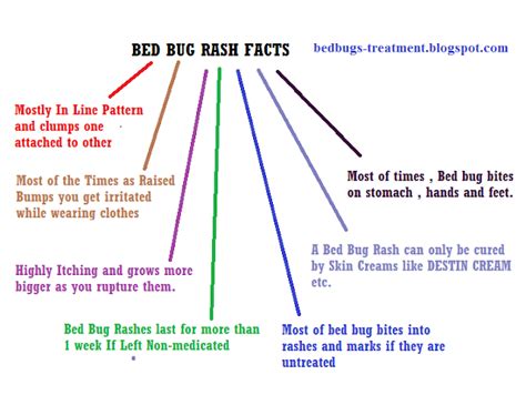 OMG , Bed Bug Rash ? Check Facts and Treatment !! « Bed Bugs Treatment