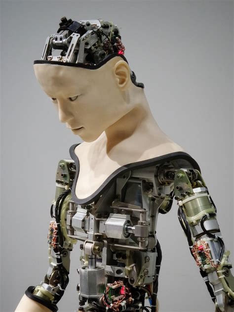 Виды роботов и области их применения – Let AI be