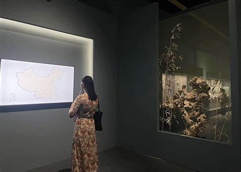 国博换陈现新意 中国古代瓷器与书画展双展合璧全面开放 艺术中国