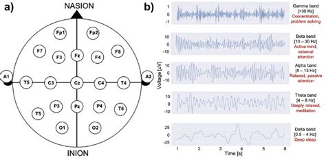 A The 10 20 System Eeg Electrodes Placement B Example Of Measured