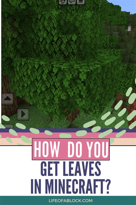 How Do You Get Leaves in Minecraft? - Life of a Block