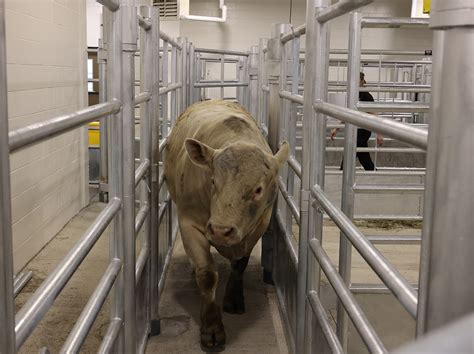 Virtual Tour - College of Veterinary Medicine - Purdue University