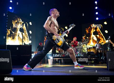 Flea Michael Balzary Of Red Hot Chili Peppers Performing Live At A