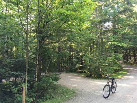 Gifford Woods State Park in Killington Vermont VT
