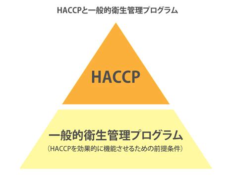 Haccp（ハサップ）が義務化！ 導入の7原則12手順やメリットなどをわかりやすく解説｜マイナビ農業