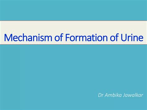 Mechanism Of Formation Of Urine Ppt