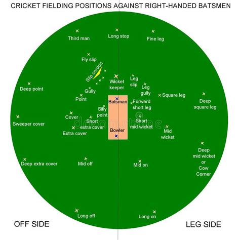 Was Looking At Fielding Positions And Realized That While Short Mid