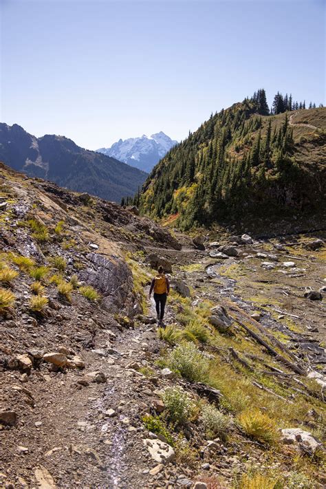 Hiking Yellow Aster Butte In The Mount Baker Area Explore Washington State