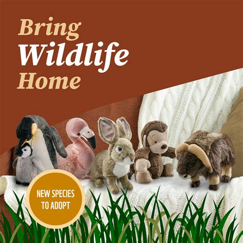 Bring wildlife home for the holidays - GTA Weekly
