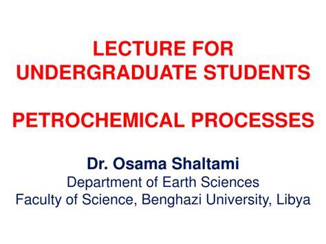 (PDF) Petrochemical Processes