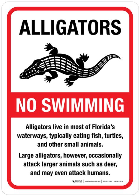 Florida Alligator Warning - Alligators - No Swimming in Florida's