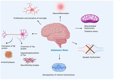 Ijms Free Full Text Amyloid Beta In Aging And Alzheimers Disease