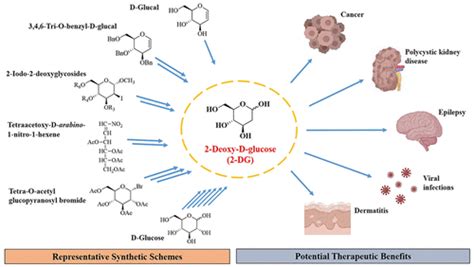 A Comprehensive Biological And Synthetic Perspective On Deoxy D