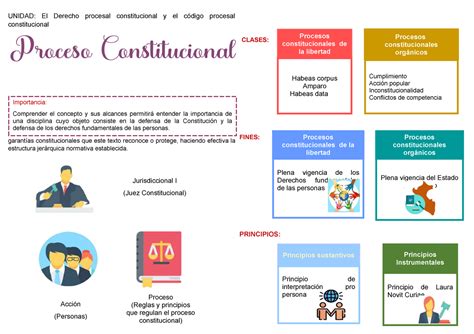 Procesal Constitucional Clases Fines Principios Procesos