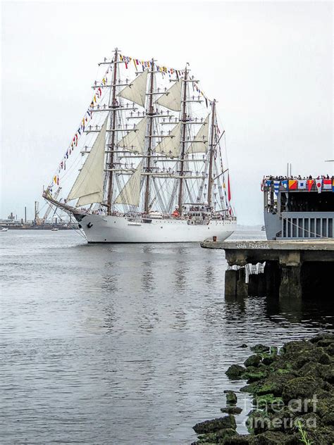 Union Tall Ship Photograph By Janice Drew Fine Art America