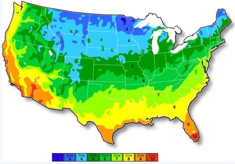 Hardiness Zone Map Archives Genealogy Decoded