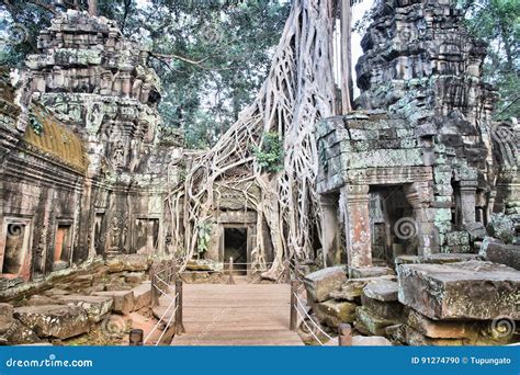 Jungle temple stock photo. Image of nature, indochina - 91274790