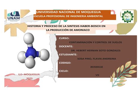 Ppt Historia Y Proceso De Haber Bosch Sosa Pino Powerpoint