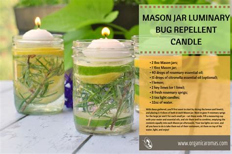 Diy Natural Mosquito Repellent Using Essential Oils Organic Aromas