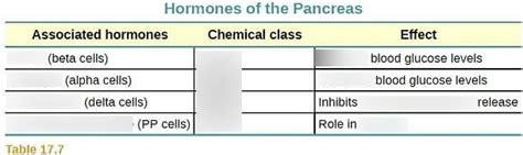 diagram: hormones of the pancreas Diagram | Quizlet