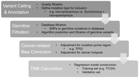 Ijms Free Full Text Open The Technical Black Box Of Tumor Mutational Burden Tmb Factors