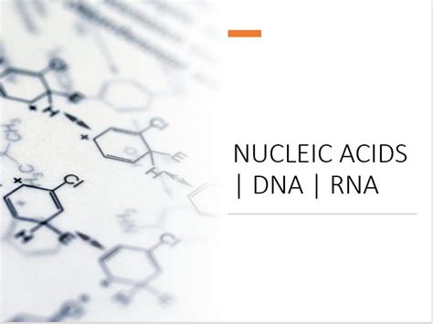 Nucleic Acids | DNA | RNA | Teaching Resources