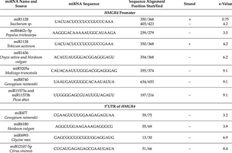 Identification Of MicroRNAs MiRNAs Potentially Interacting With The