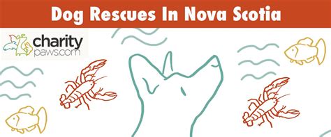 Dog Rescues In Nova Scotia | 9 Rescues To Adopt From