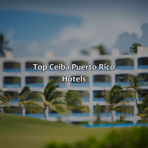 Ceiba Puerto Rico Hotels - Krug