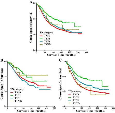 Survival Contradiction Between Stage Iia And Stage Iiia Rectal Cancer