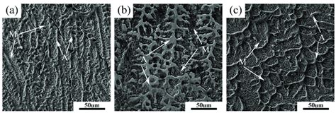 Microstructure Of Weld Bead At Different Heat Inputs A 42 Kjcm